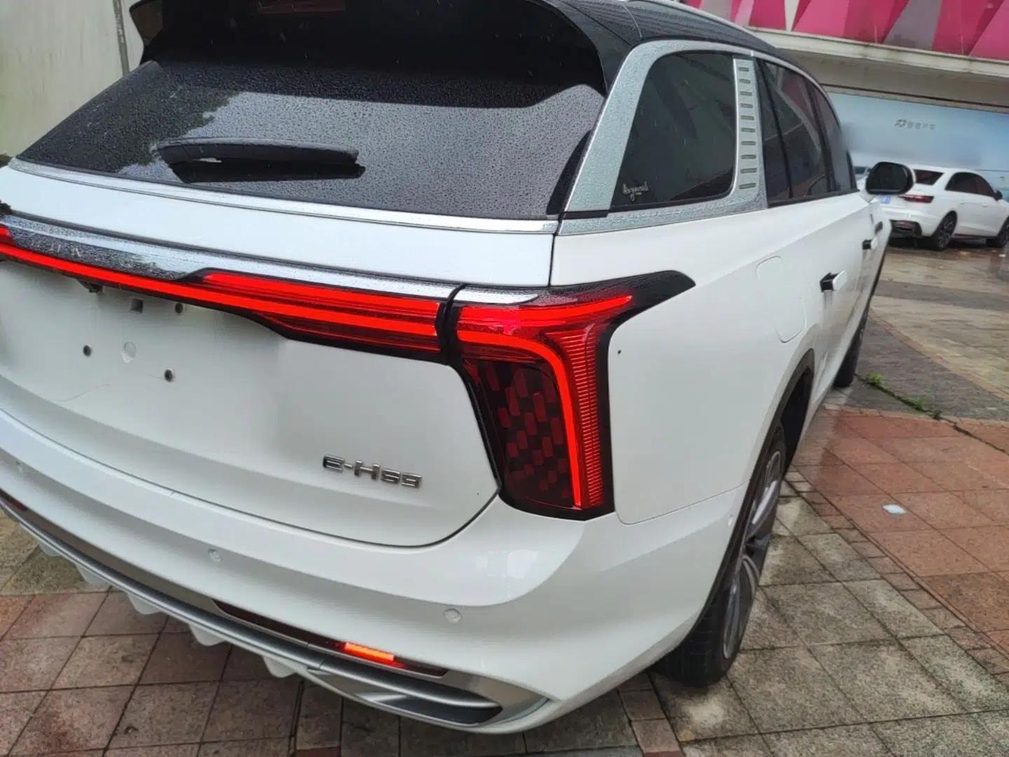 Hongqi E-HS9 2021 510 km Range Flagway Edition Six Seats — миниатюра 9