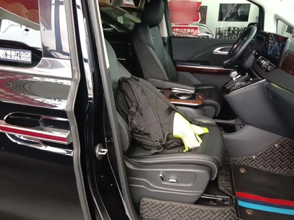 Hongqi HQ9 2023 2.0T Smart Connect Flagship Edition — миниатюра 19
