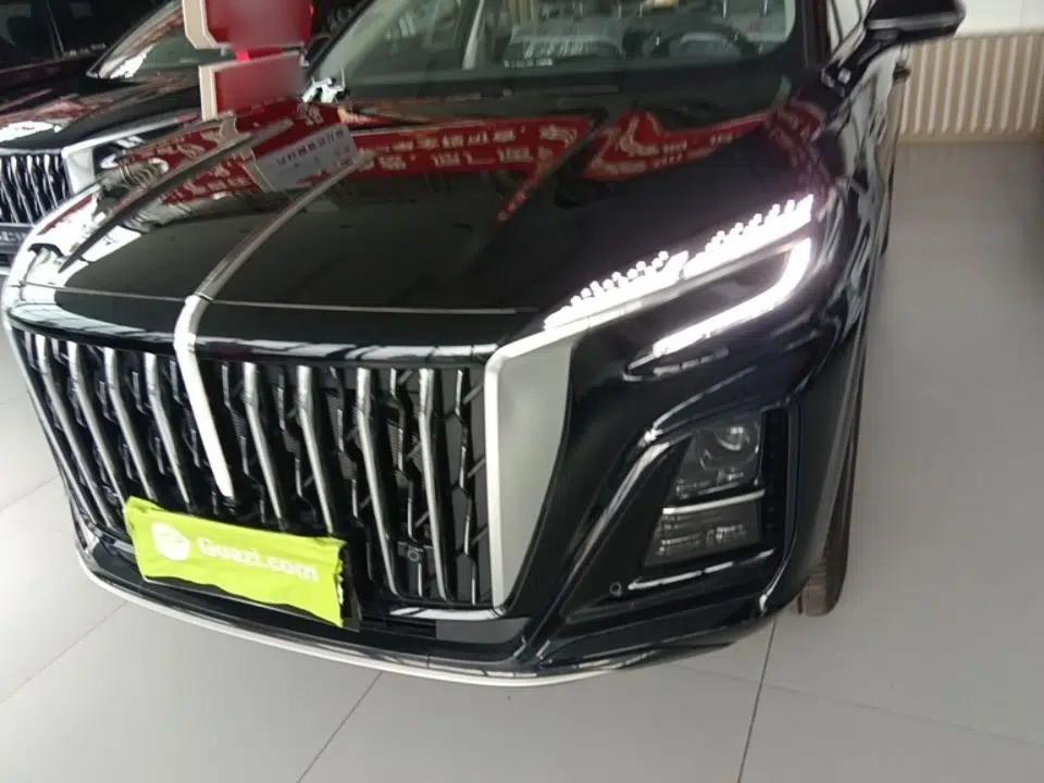 Hongqi HS3 PHEV 2025 Model 125km Jingwei 2 Millionth Anniversary Edition — миниатюра 8