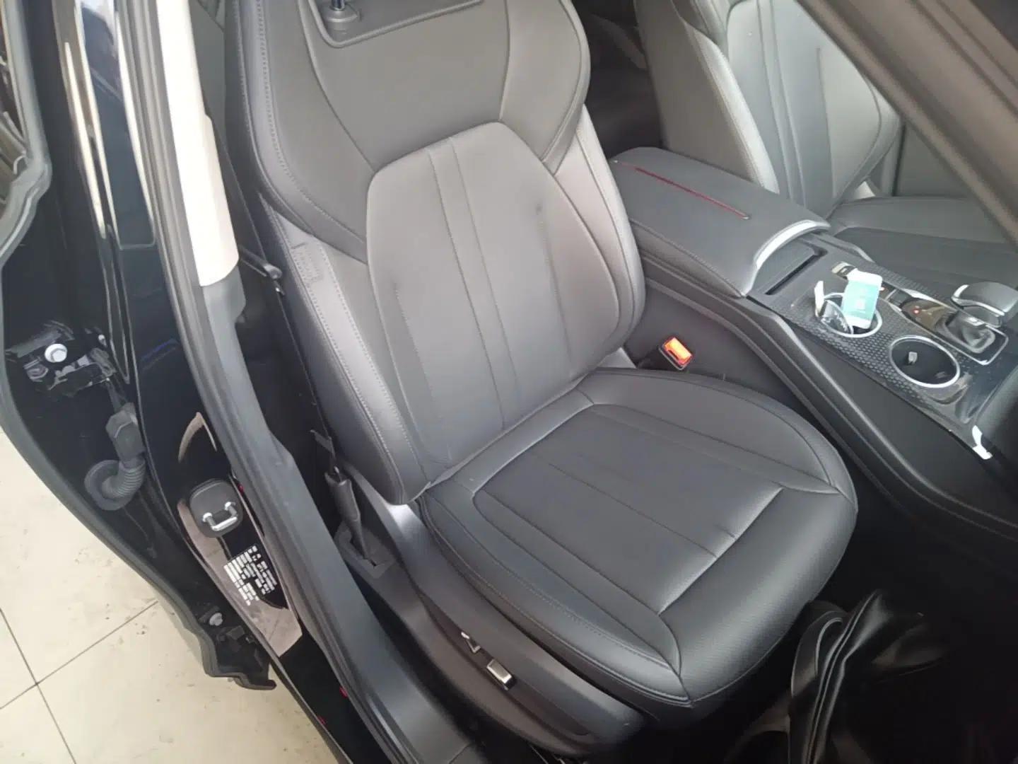 Hongqi HS3 PHEV 2024 PHEV 115km Jingwei Edition — миниатюра 19