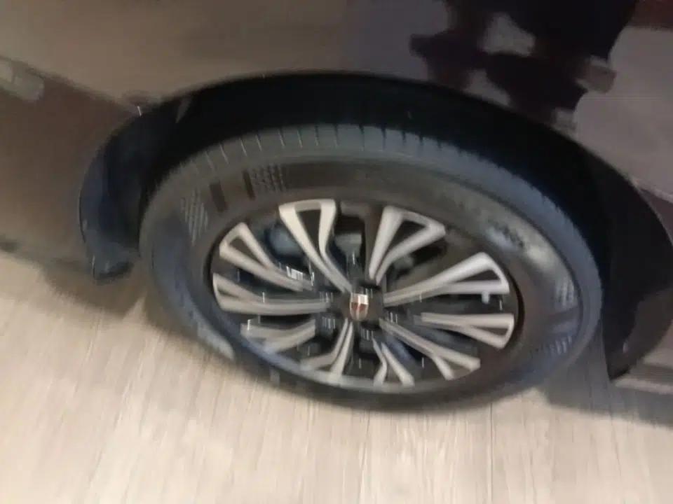 Hongqi HQ9 PHEV 2024 2.0T Four-Wheel Drive Luxury Edition — миниатюра 11