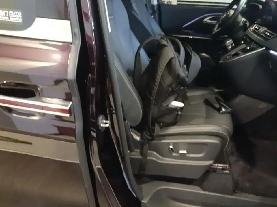Hongqi HQ9 PHEV 2024 2.0T Four-Wheel Drive Luxury Edition — миниатюра 19