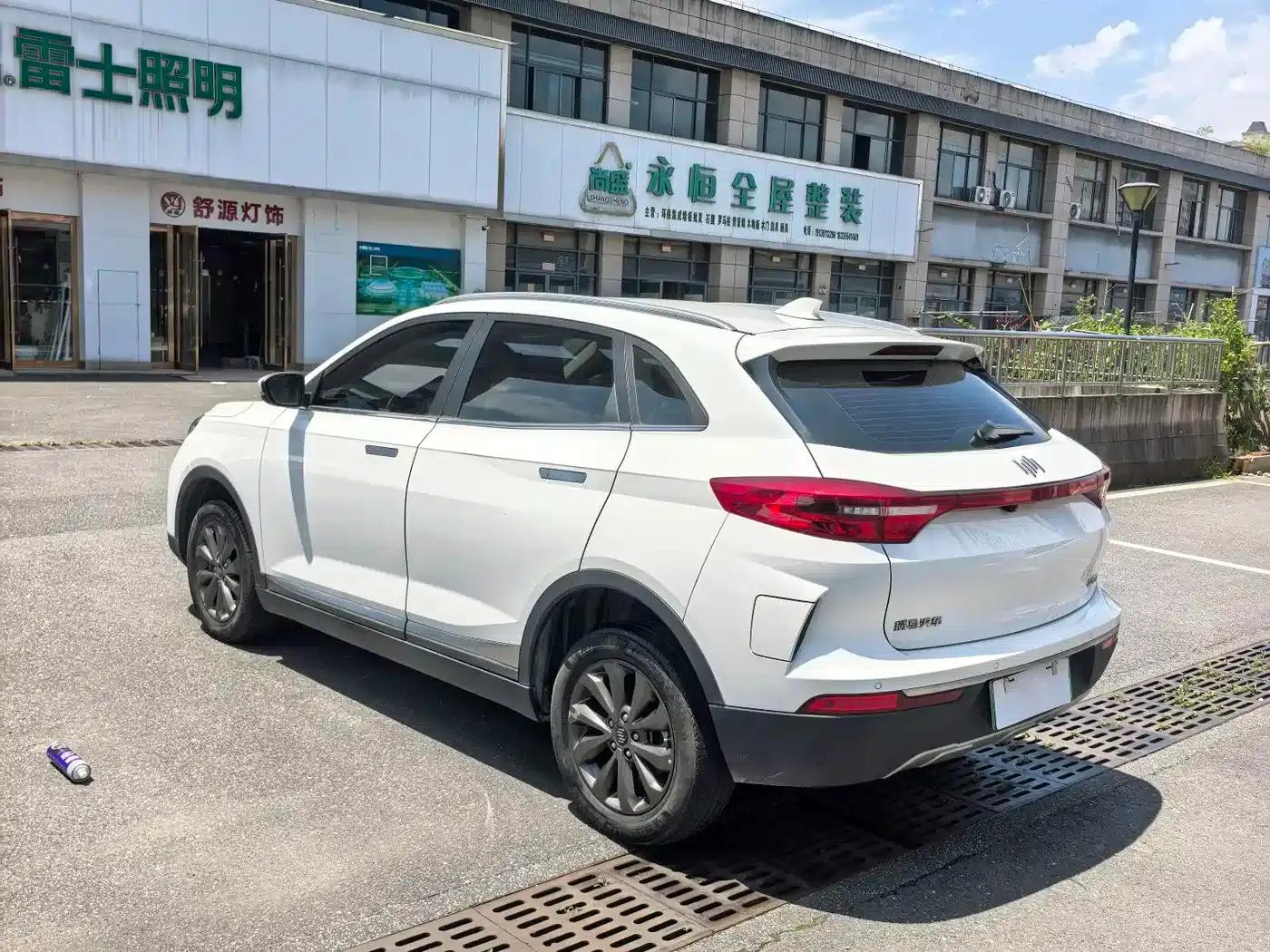 Weltmeister EX5 2018 EX5 400 Lite Explorer Edition — миниатюра 6