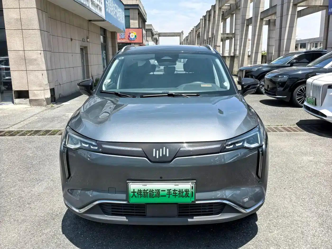 Weltmeister W6 2021 520km PRO All-Round Edition — миниатюра 2