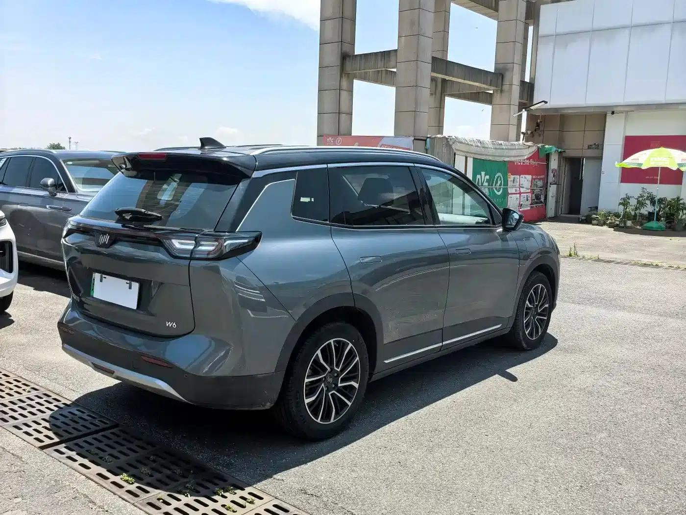 Weltmeister W6 2021 520km PRO All-Round Edition — миниатюра 3