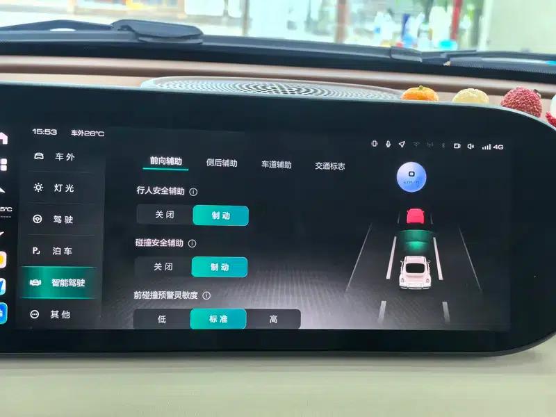 Euler Ballet Cat 2023 Model 401km Premium Edition — миниатюра 11
