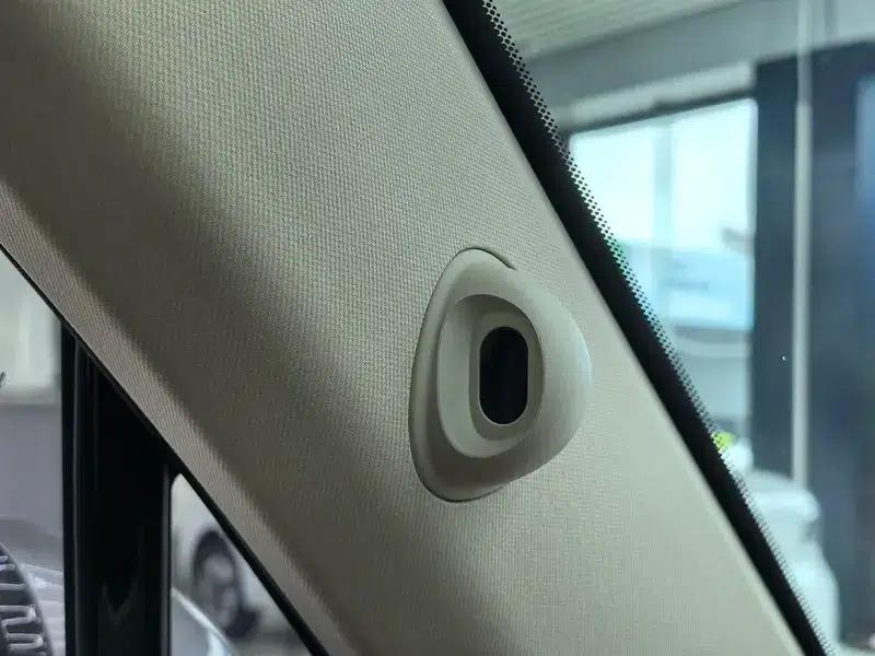Euler Ballet Cat 2023 Model 401km Premium Edition — миниатюра 17