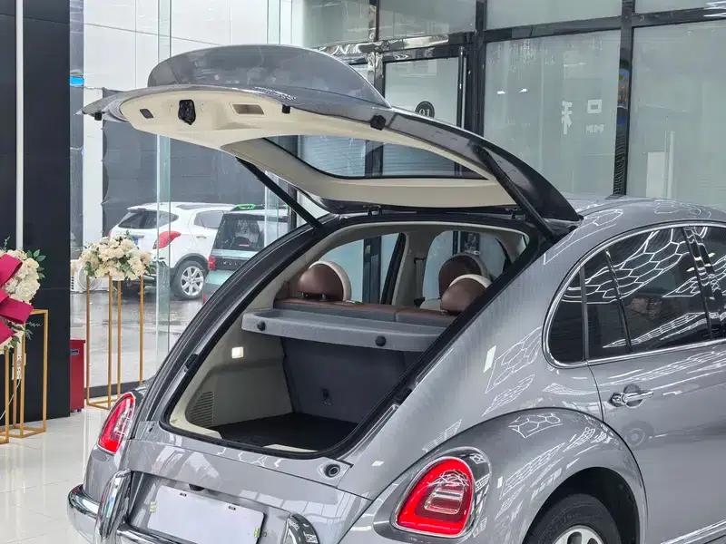 Euler Ballet Cat 2023 Model 401km Premium Edition — миниатюра 18