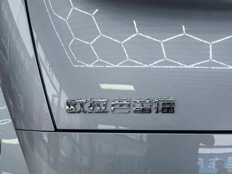 Euler Ballet Cat 2023 Model 401km Premium Edition — миниатюра 21