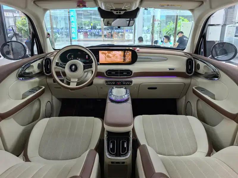 Euler Ballet Cat 2023 Model 401km Premium Edition — миниатюра 22