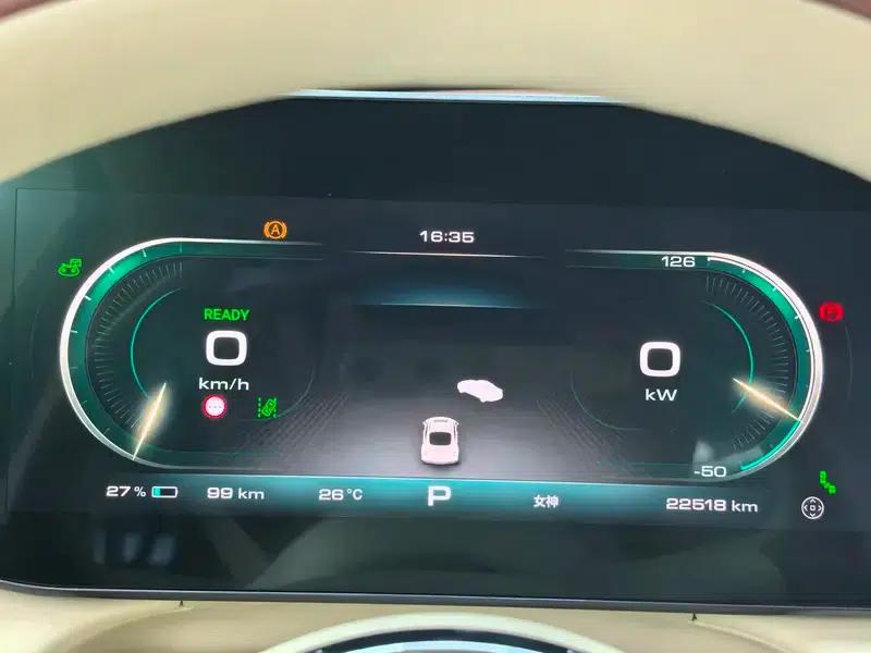 Euler Ballet Cat 2023 Model 401km Premium Edition — миниатюра 23