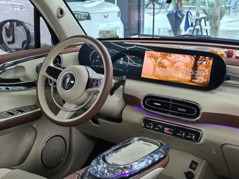 Euler Ballet Cat 2023 Model 401km Premium Edition — миниатюра 26