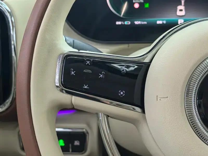 Euler Ballet Cat 2023 Model 401km Premium Edition — миниатюра 28