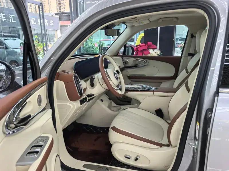 Euler Ballet Cat 2023 Model 401km Premium Edition — миниатюра 30