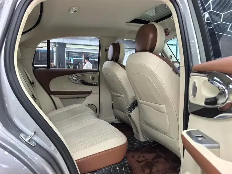 Euler Ballet Cat 2023 Model 401km Premium Edition — миниатюра 31