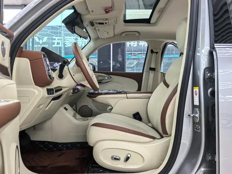 Euler Ballet Cat 2023 Model 401km Premium Edition — миниатюра 34