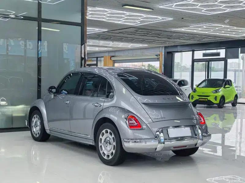 Euler Ballet Cat 2023 Model 401km Premium Edition — миниатюра 5