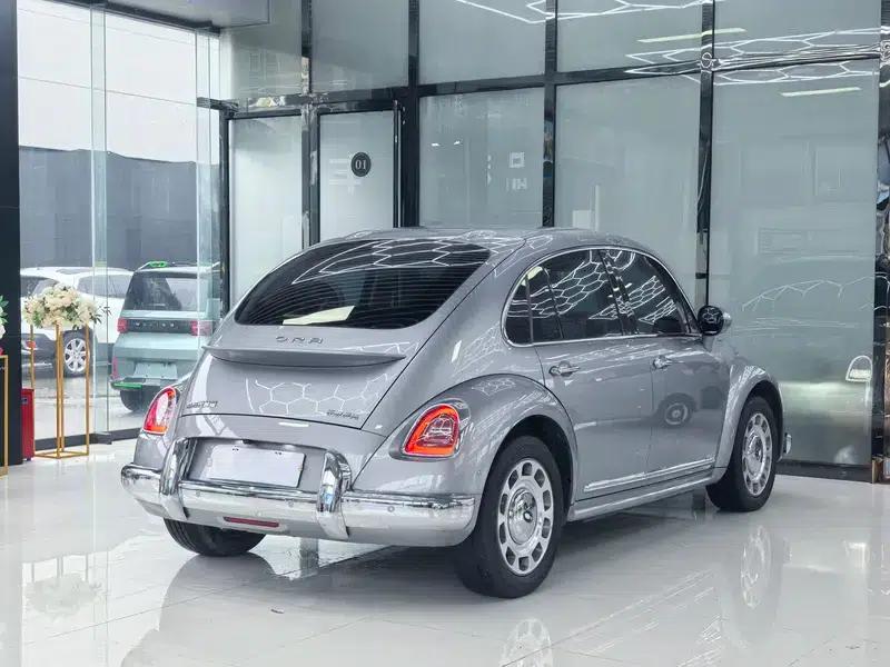 Euler Ballet Cat 2023 Model 401km Premium Edition — миниатюра 7