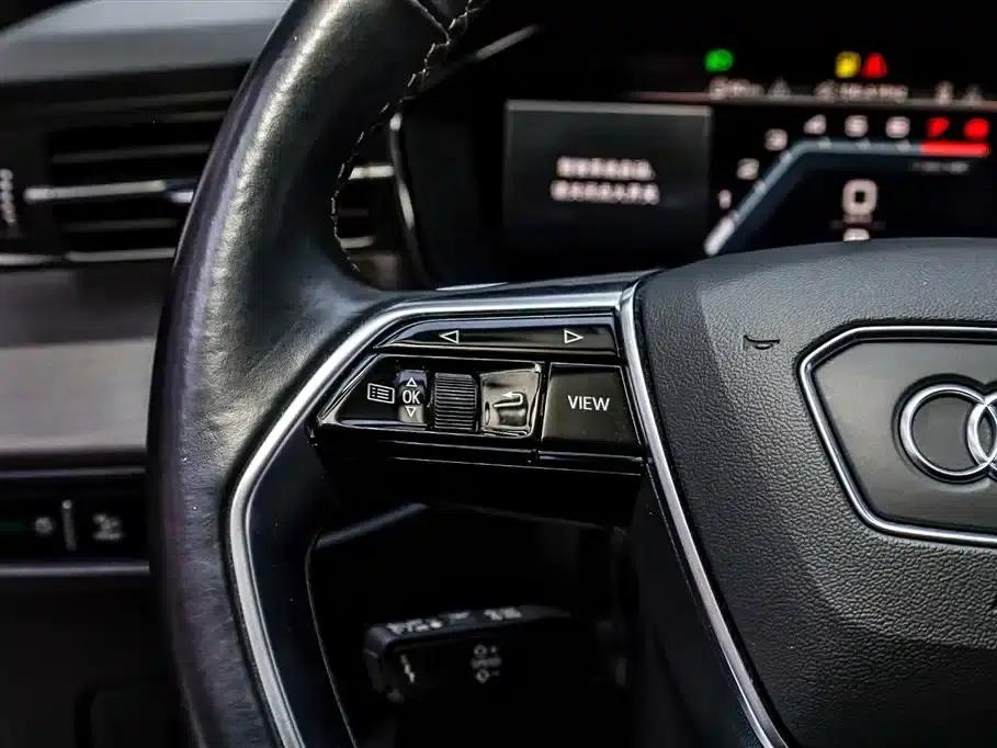 Audi Q6 2024 40 TFSI quattro Cloud View Edition, Feathered Forest Package, 7-seater — миниатюра 16