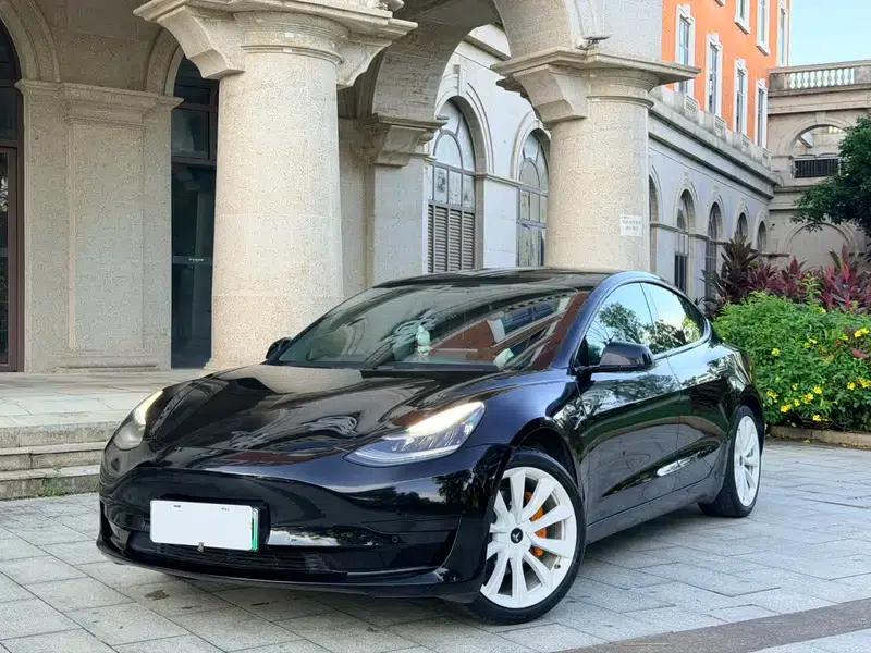 Model 3 2020 Standard Range Rear-Wheel Drive Upgrade — миниатюра 1