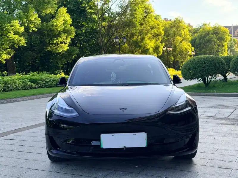 Model 3 2020 Standard Range Rear-Wheel Drive Upgrade — миниатюра 2