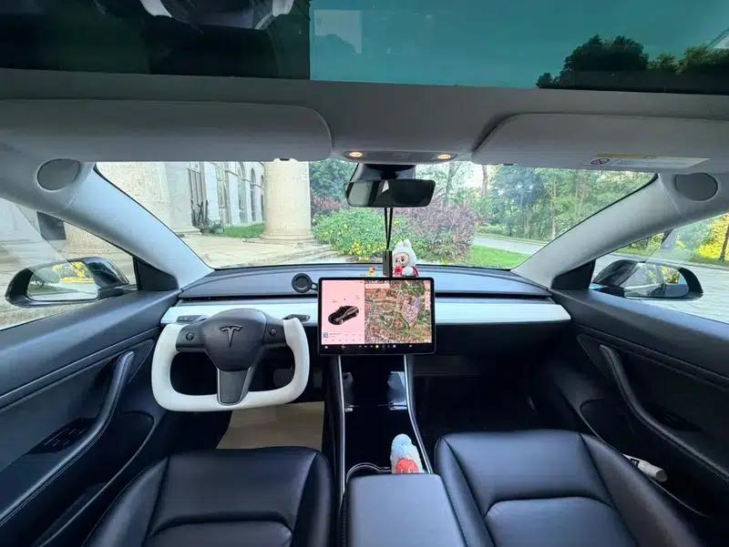Model 3 2020 Standard Range Rear-Wheel Drive Upgrade — миниатюра 11