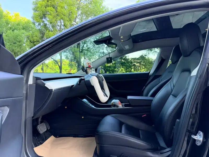 Model 3 2020 Standard Range Rear-Wheel Drive Upgrade — миниатюра 15