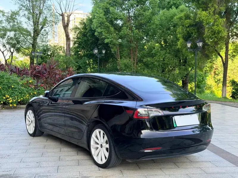 Model 3 2020 Standard Range Rear-Wheel Drive Upgrade — миниатюра 5