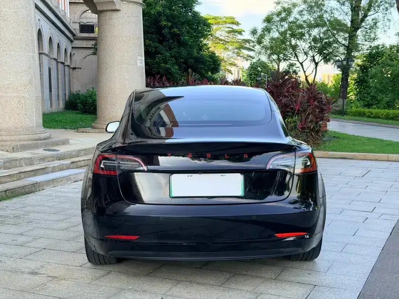 Model 3 2020 Standard Range Rear-Wheel Drive Upgrade — миниатюра 6