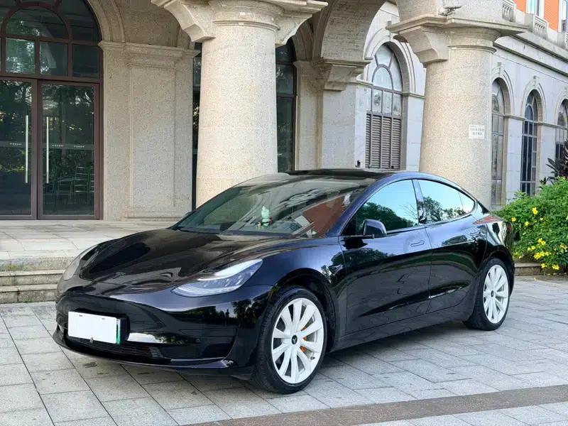 Model 3 2020 Standard Range Rear-Wheel Drive Upgrade — миниатюра 8