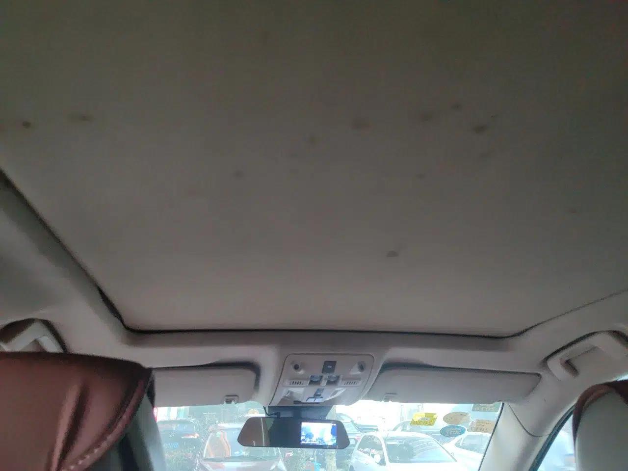 Cadillac SRX 2010 3.0L Flagship Edition — миниатюра 18