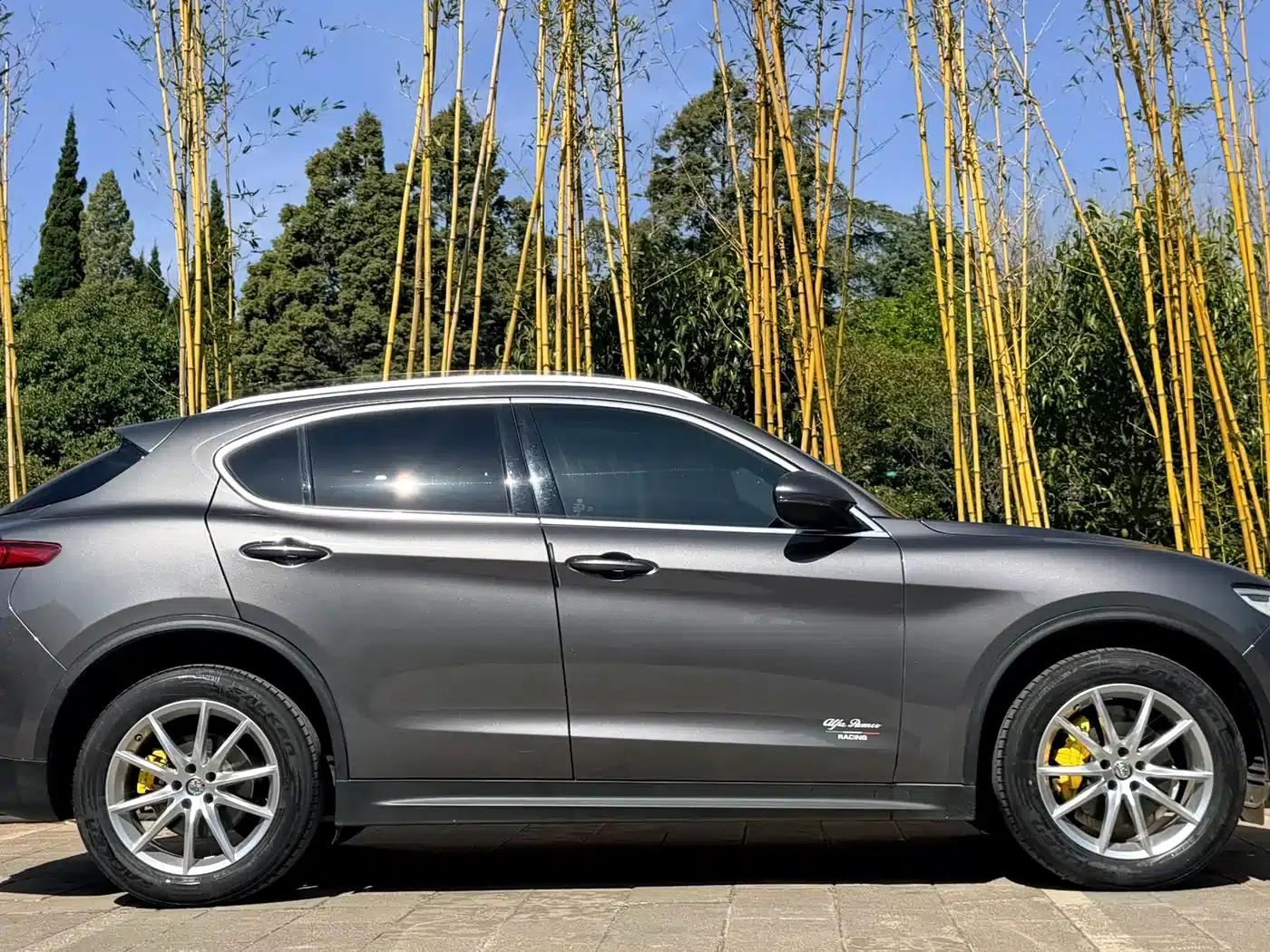 2020 Stelvio 2.0T 280HP Luxury Edition — миниатюра 7