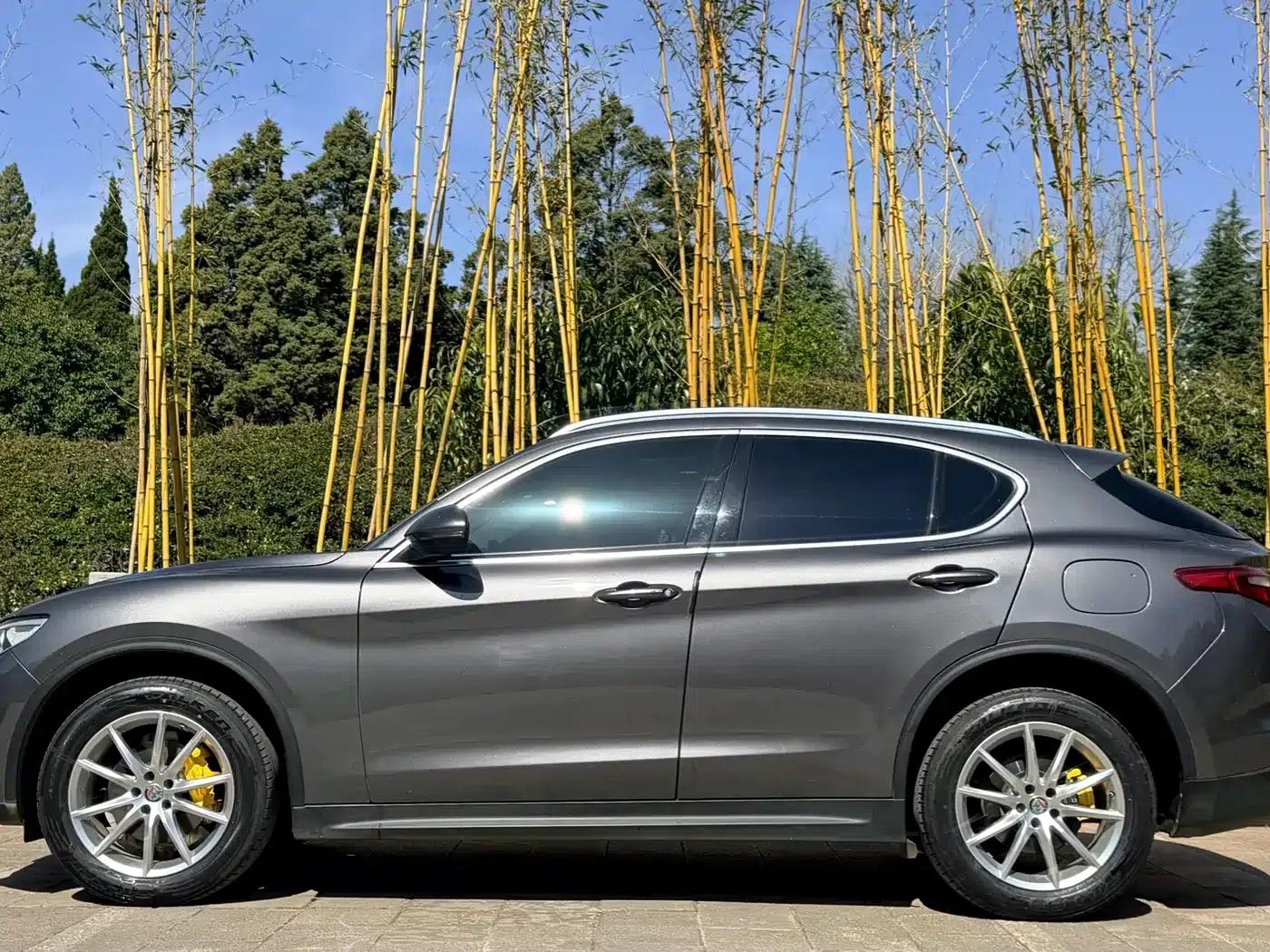 2020 Stelvio 2.0T 280HP Luxury Edition — миниатюра 8