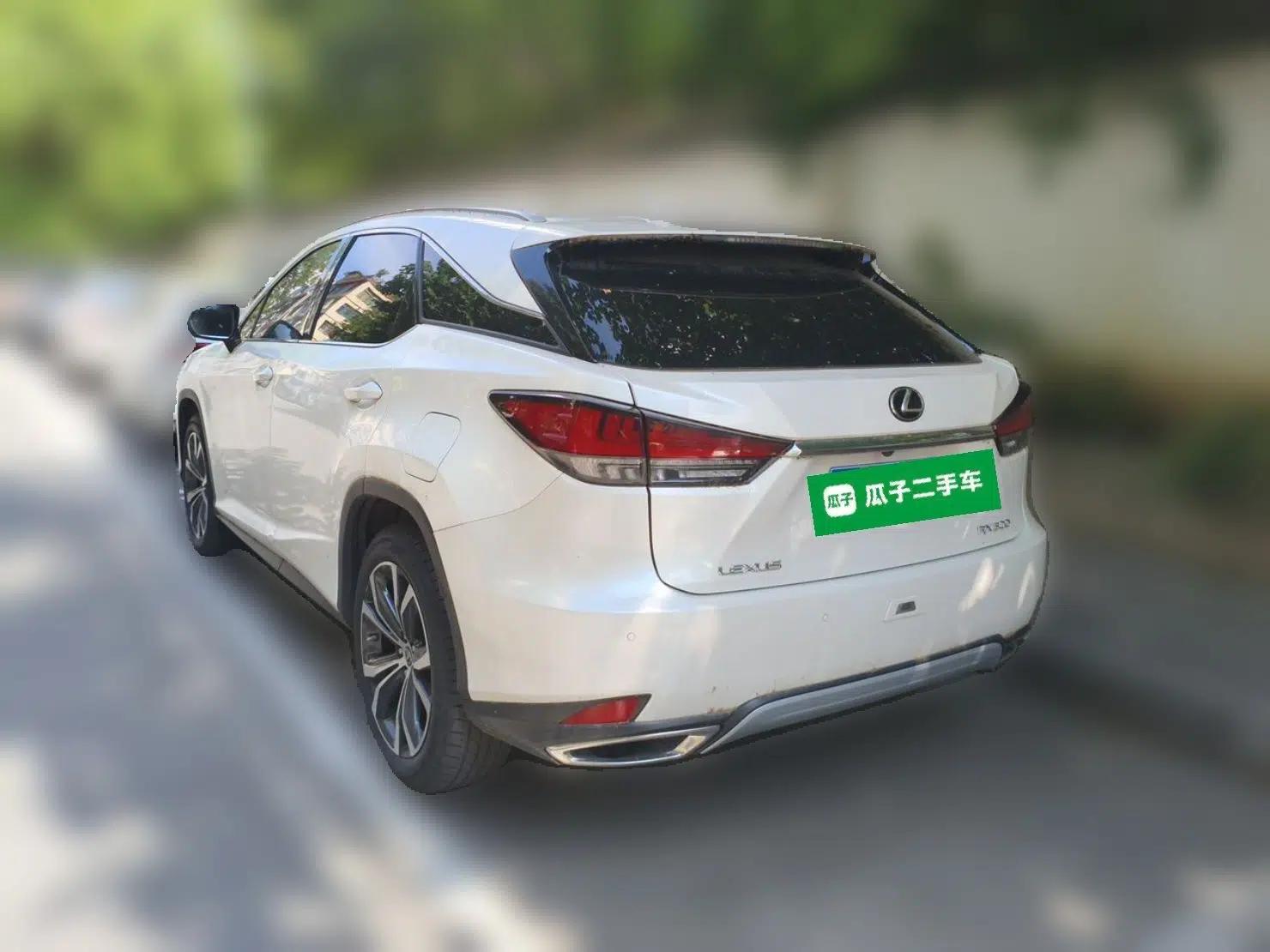 Lexus RX 2020 Facelifted 300 4x4 Elegant Edition — миниатюра 4