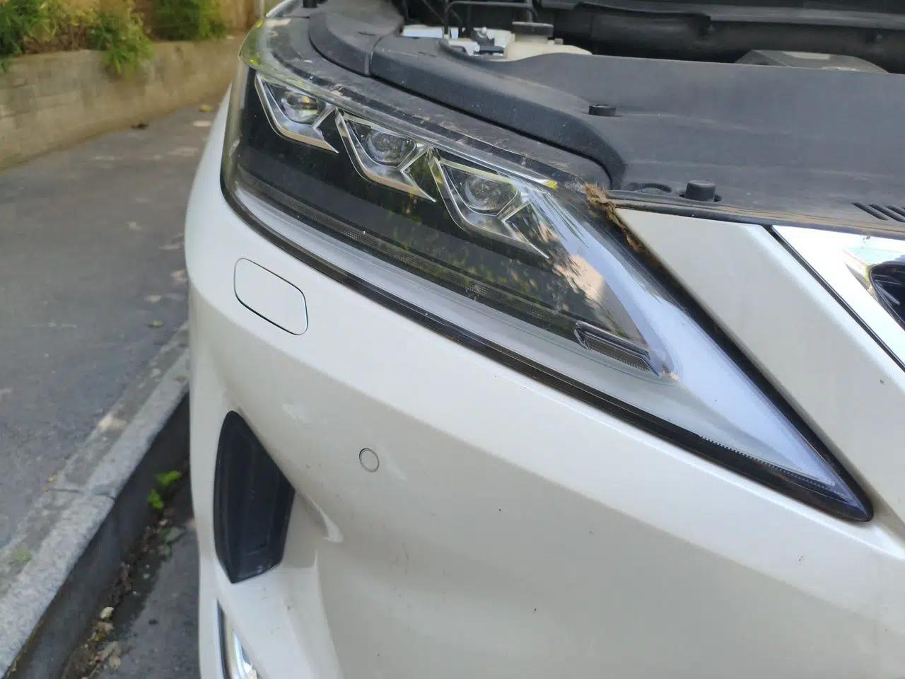 Lexus RX 2020 Facelifted 300 4x4 Elegant Edition — миниатюра 7