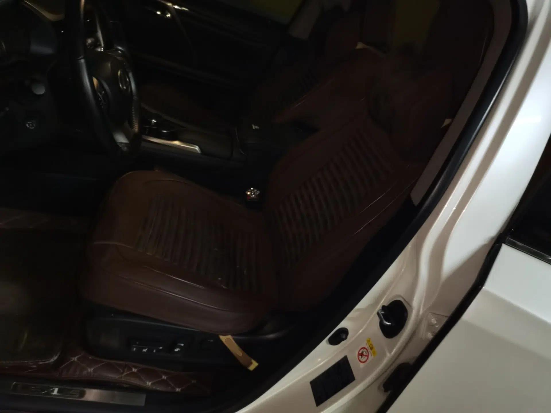 Lexus RX 2016 300 Two-Wheel Drive Elite Version China V Standard — миниатюра 15