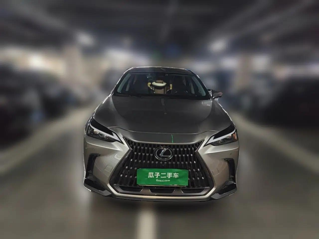 Lexus NX 2022 260 Front-Wheel Drive Chuanchi Edition — миниатюра 2