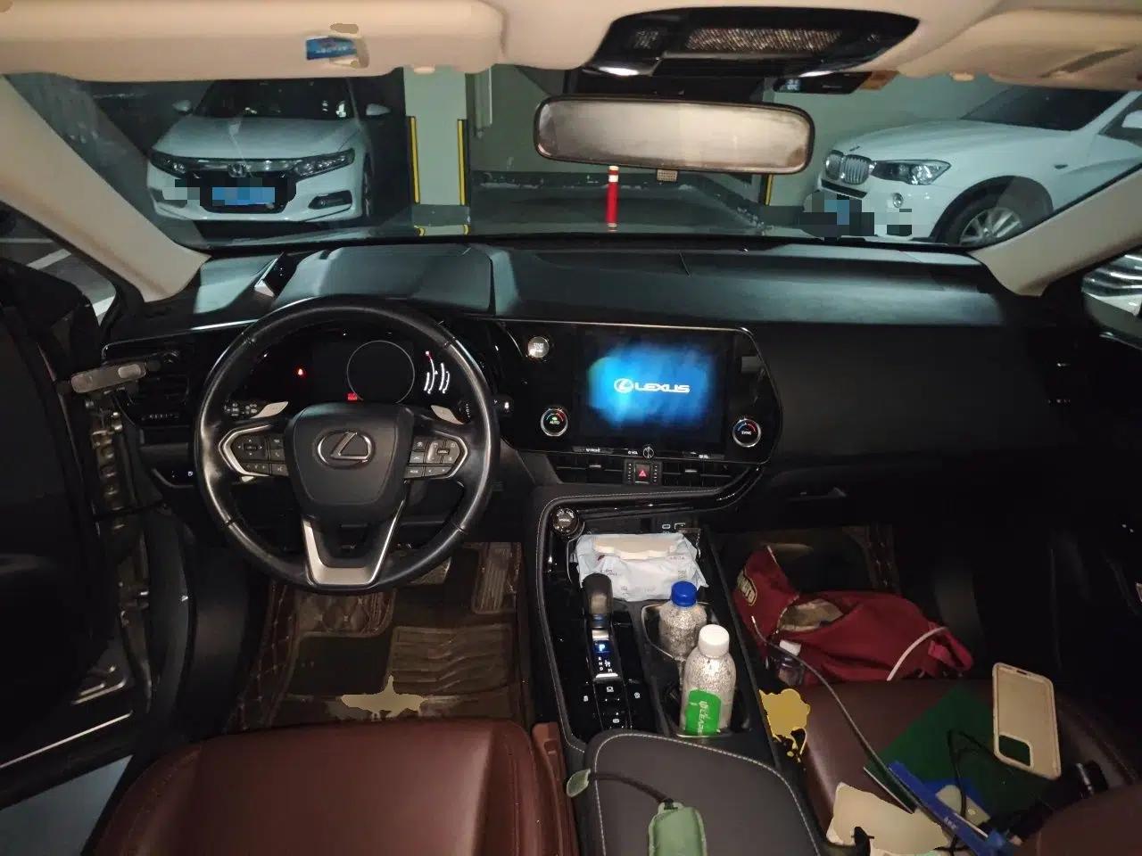 Lexus NX 2022 260 Front-Wheel Drive Chuanchi Edition — миниатюра 9