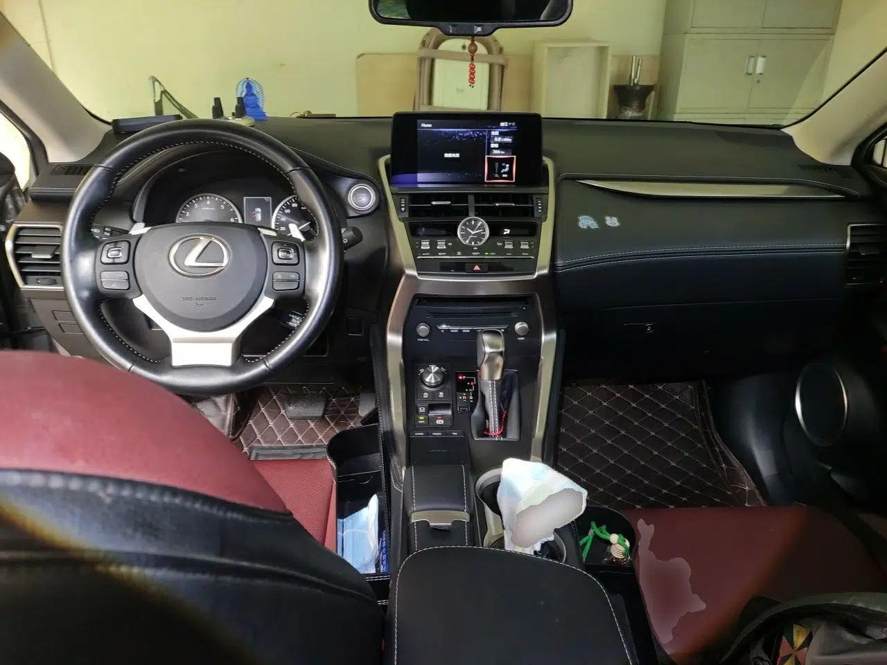 Lexus NX 2020 200 Front-Wheel Drive Freeline Edition China VI Standard — миниатюра 9