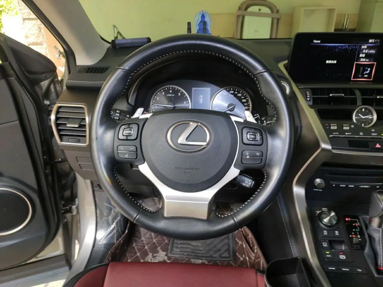 Lexus NX 2020 200 Front-Wheel Drive Freeline Edition China VI Standard — миниатюра 10