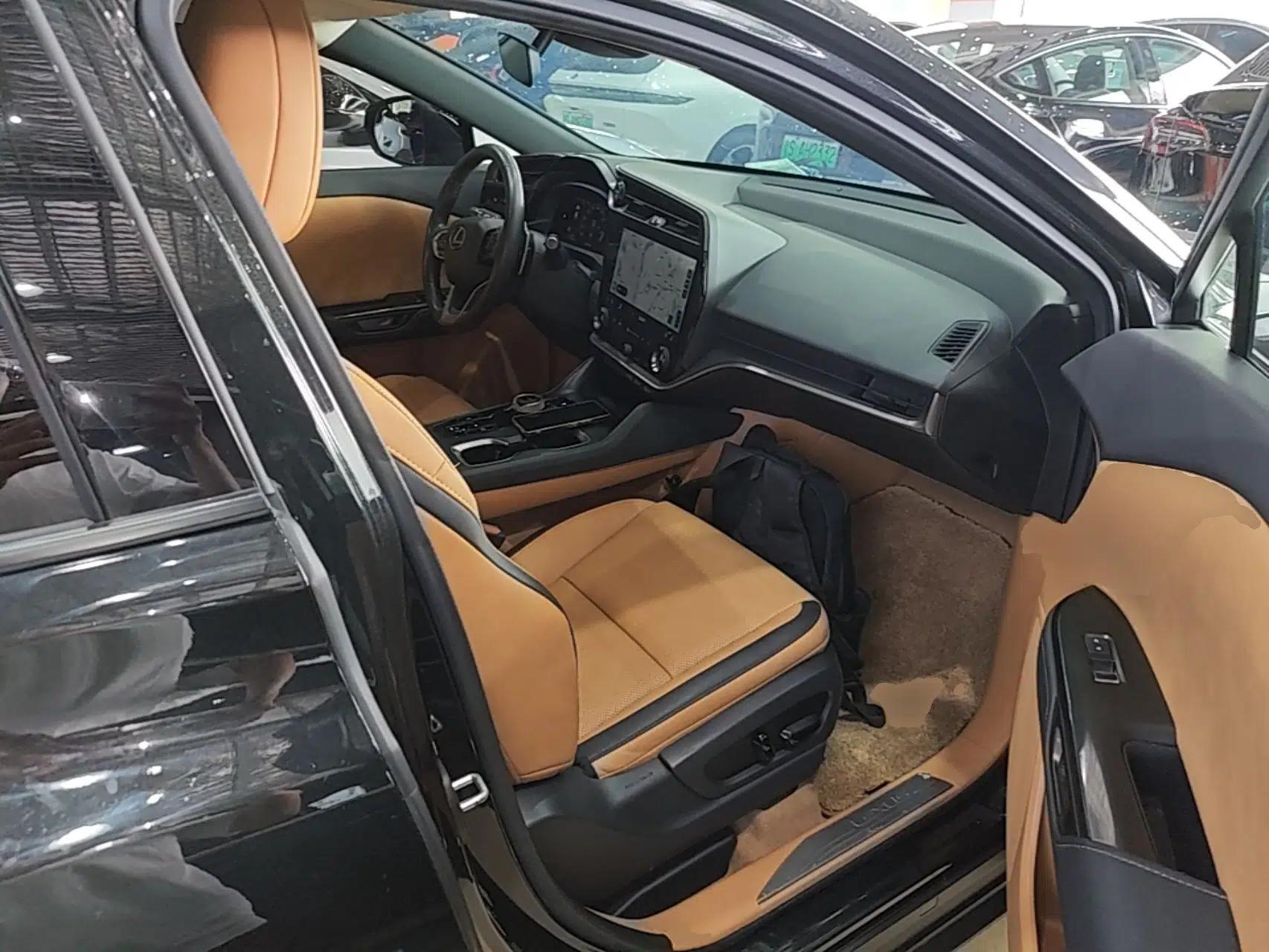 Lexus RZ 2023 450e All-Wheel Drive Luxury Edition — миниатюра 24