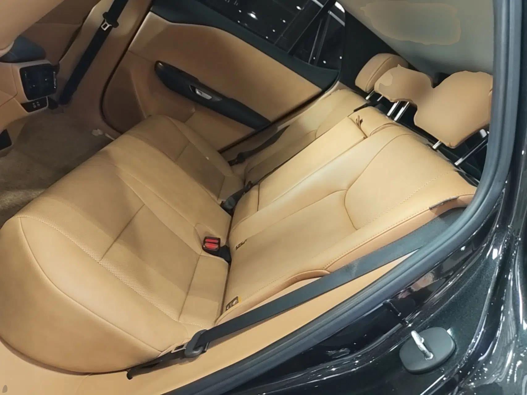 Lexus RZ 2023 450e All-Wheel Drive Luxury Edition — миниатюра 25