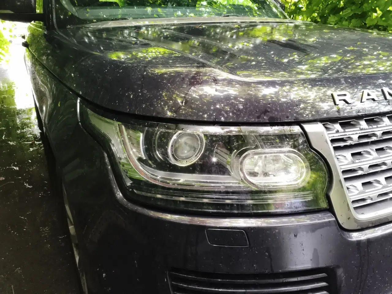Land Rover Range 2014 Revised 3.0 SC V6 Vogue — миниатюра 7