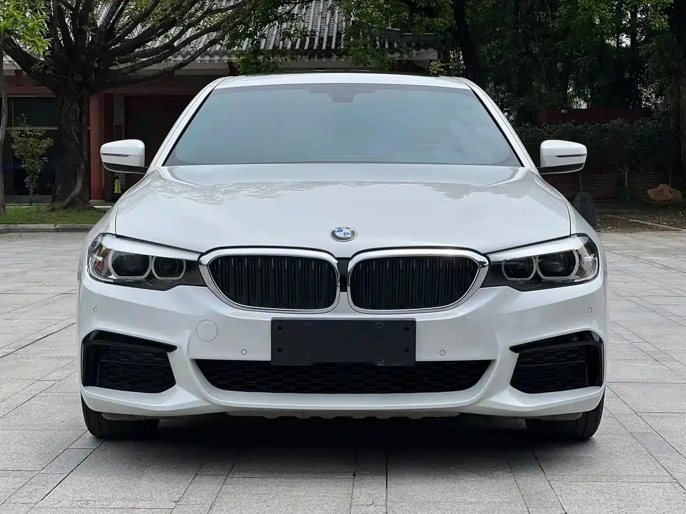2019 BMW 5 Series Facelift 530Li Leading Edition M Sport Package — миниатюра 2
