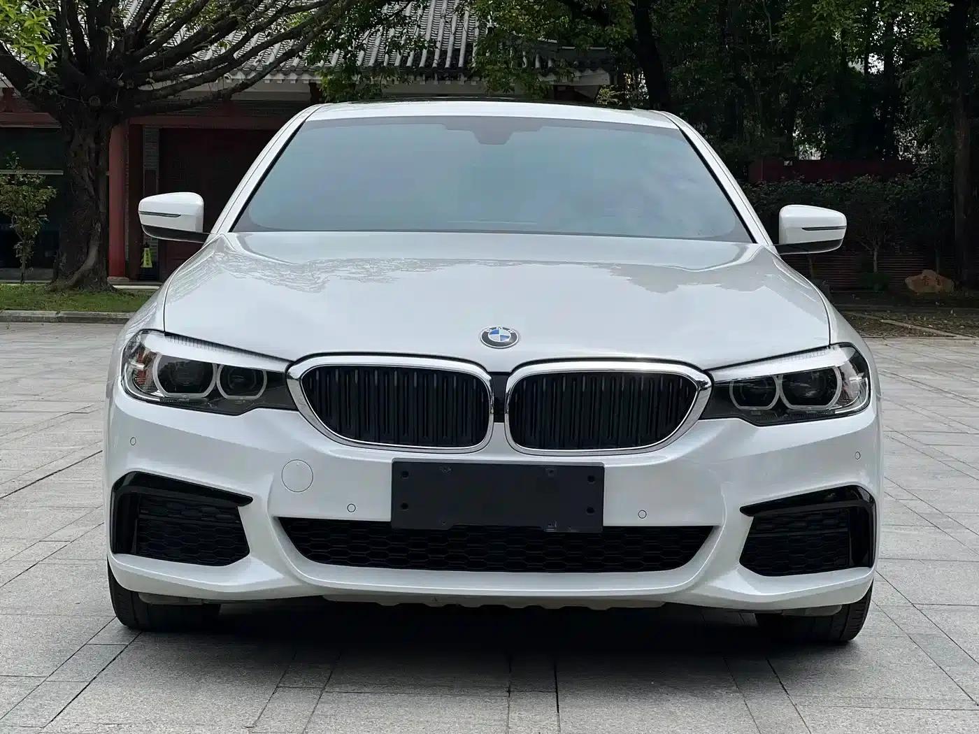 2019 BMW 5 Series Facelift 530Li Leading Edition M Sport Package — миниатюра 3