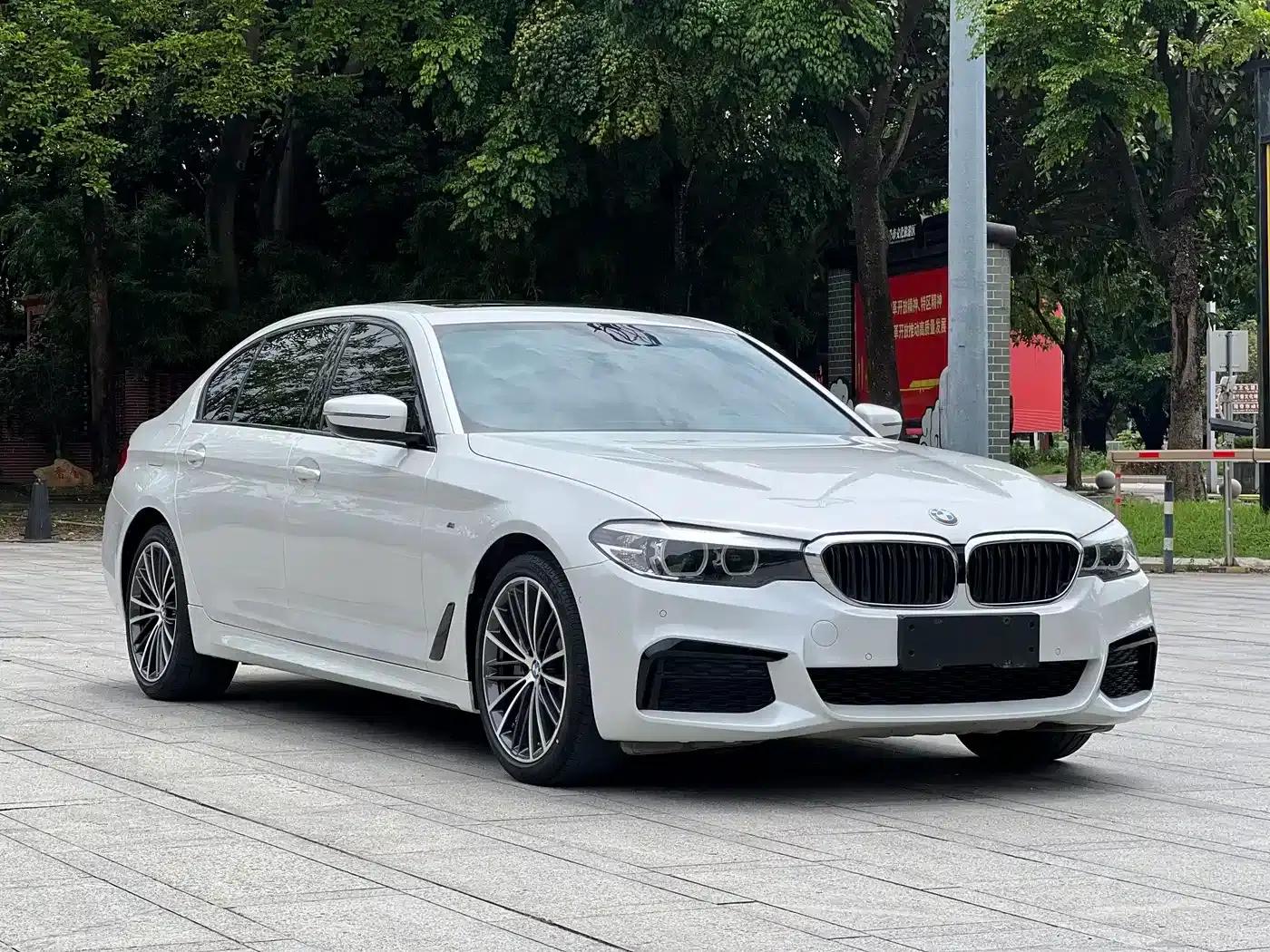 2019 BMW 5 Series Facelift 530Li Leading Edition M Sport Package — миниатюра 8