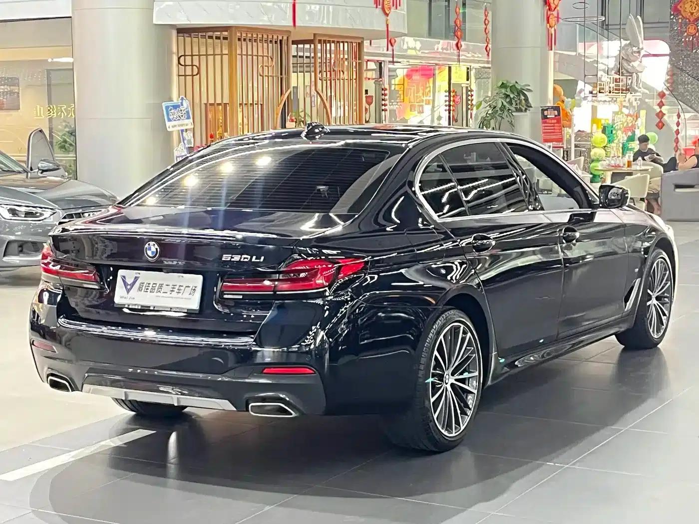 2023 BMW 5 Series Facelift 530Li Leading Edition M Sport Package — миниатюра 8