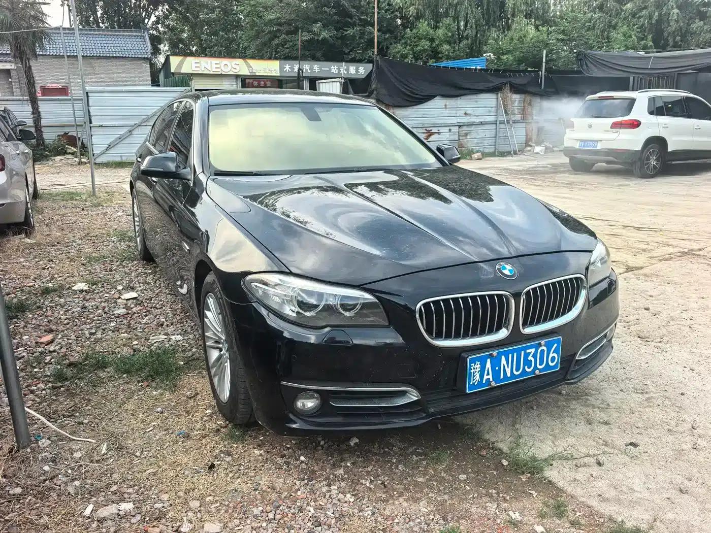 2014 BMW 5 Series 525Li Leading Edition — миниатюра 2