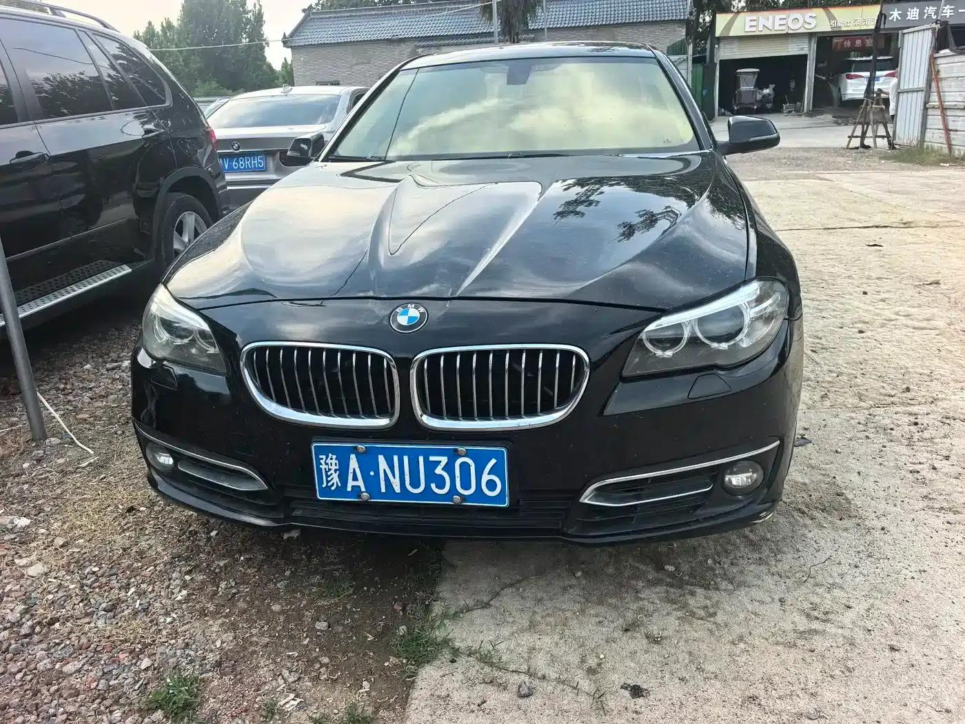 2014 BMW 5 Series 525Li Leading Edition — миниатюра 3