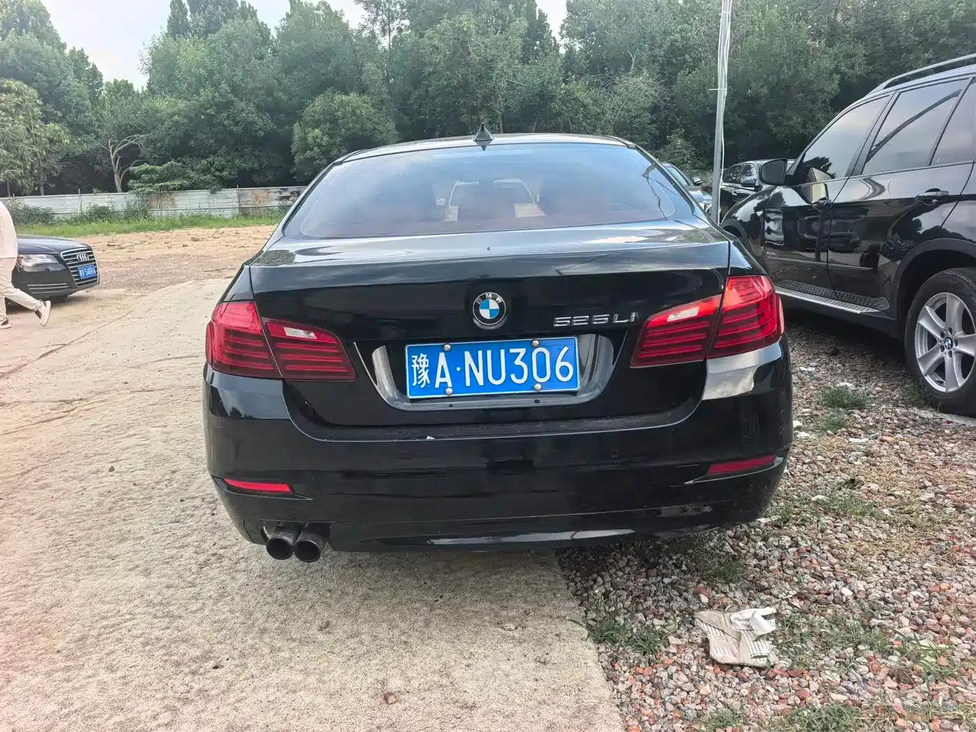 2014 BMW 5 Series 525Li Leading Edition — миниатюра 4